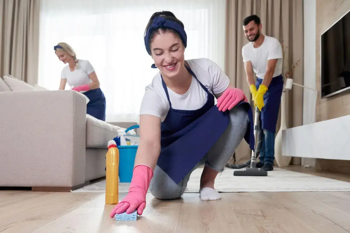 professional house cleaning